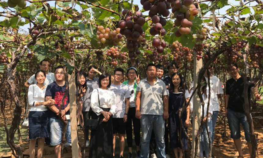 收获季节-葡萄园之约